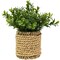 Northlight Milan Leaf Artificial Mini Bush In Rattan Basket - 7"